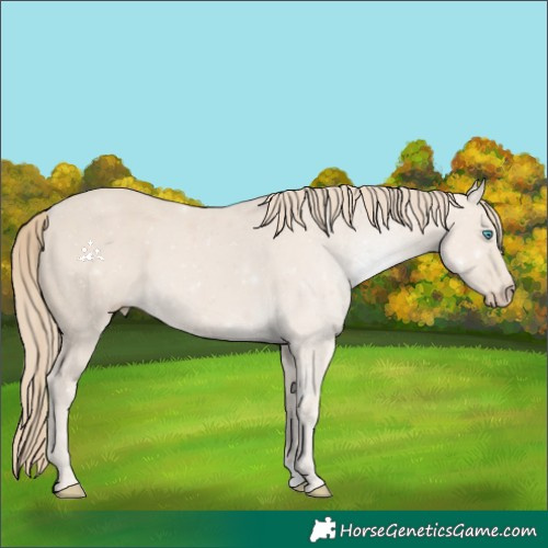 Horse Color:Smoky Creme