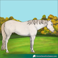 Horse Color:Smoky Creme 
