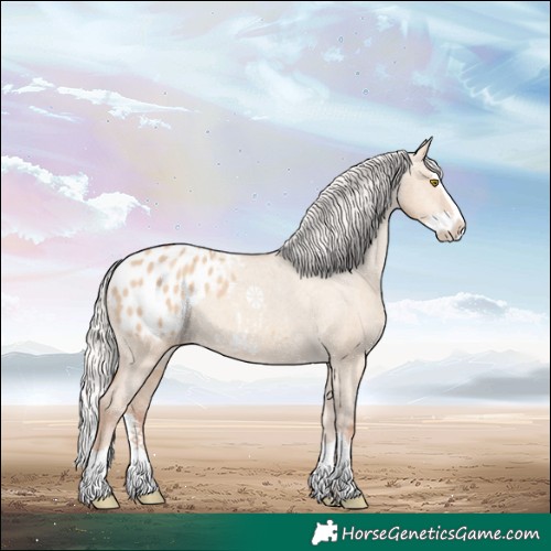Horse Color:Silver Classic Champagne Dun Splash Appaloosa 