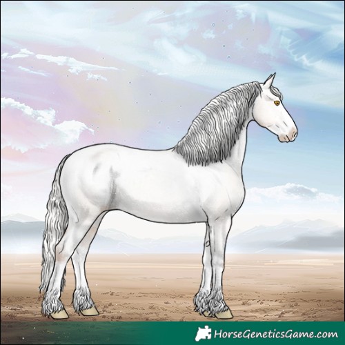 Horse Color:Silver Classic Champagne Dun Splash Appaloosa 