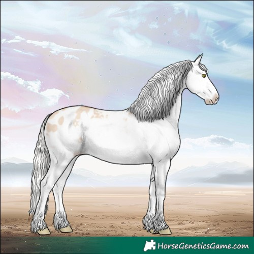 Horse Color:Silver Sable Champagne Dun Splash Frame Appaloosa 