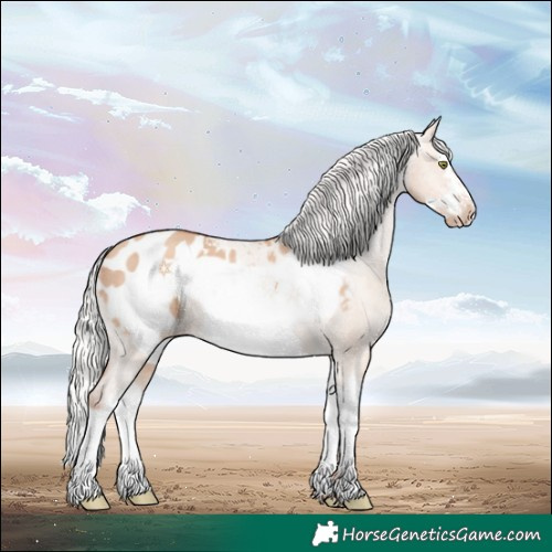 Horse Color:Silver Sable Champagne Dun Splash Frame Appaloosa 