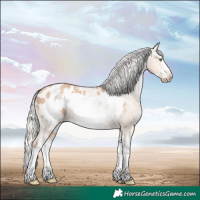 Horse Color:Silver Sable Champagne Dun Splash Frame Appaloosa 