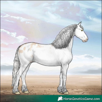 Horse Color:Silver Sable Champagne Dun Splash Frame Appaloosa 