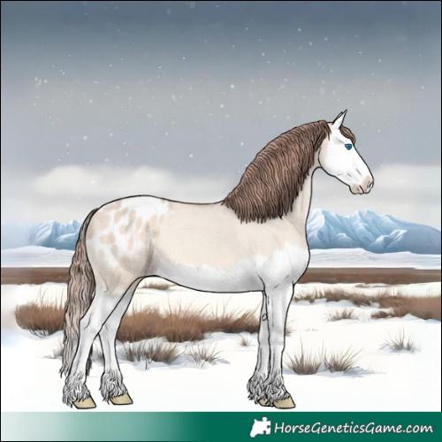 Horse Color:Amber Champagne Dun Splash Appaloosa 