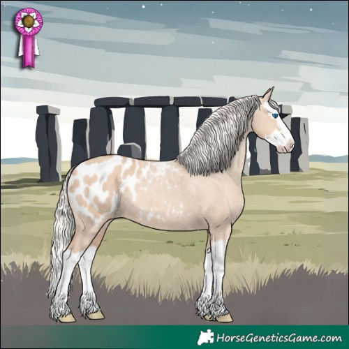 Horse Color:Silver Classic Champagne Dun Splash Appaloosa 