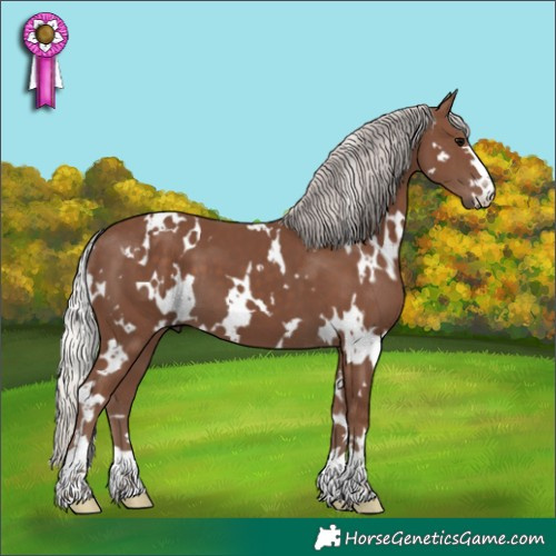 Horse Color:White Spotted Silver Black 