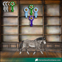 Horse Color:Brown Dun Snowflake Varnish Rabicano 