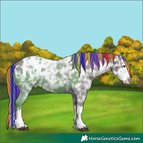 Horse Color:Painted Liver Chestnut Ice Sabino Splash Appaloosa 