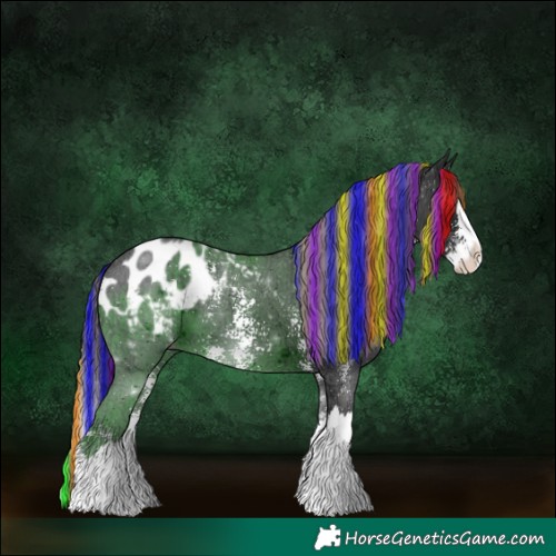 Horse Color:Painted Liver Chestnut Ice Sabino Splash Appaloosa 