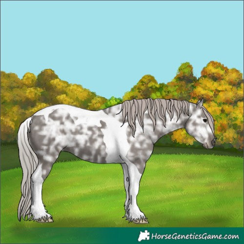 Horse Color:Silver Black Ice Tobiano 