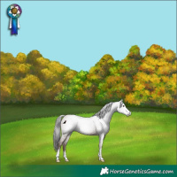 Horse Color:Gray Classic Champagne Rabicano 