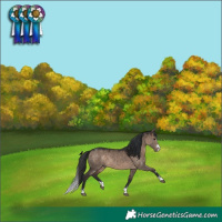 Horse Color:Brown Dun 