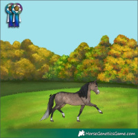 Horse Color:Brown Dun 