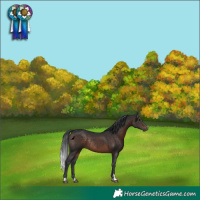 Horse Color:Brown Rabicano