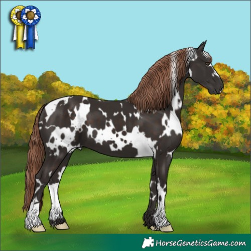 Horse Color:White Spotted Liver Chestnut 