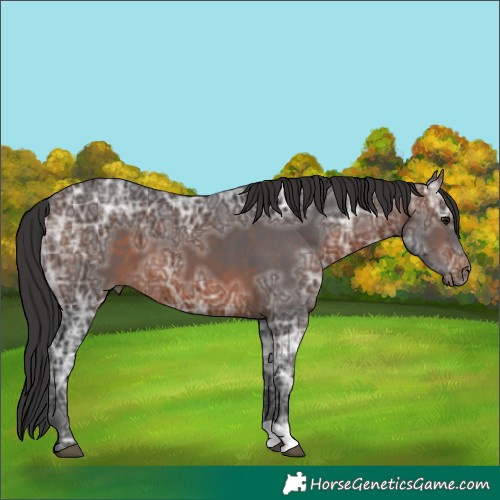 Horse Color:Brown Ice 