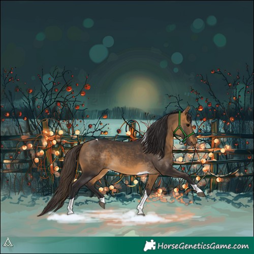 Horse Color:Buckskin Tobiano 