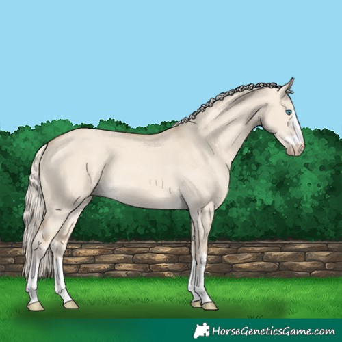 Horse Color:Cremello Dun 