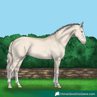 Horse Color:Cremello Dun 