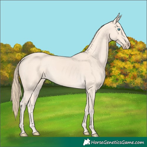 Horse Color:Perlino 