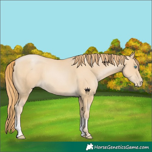 Horse Color:Smoky Black Pearl Sabino