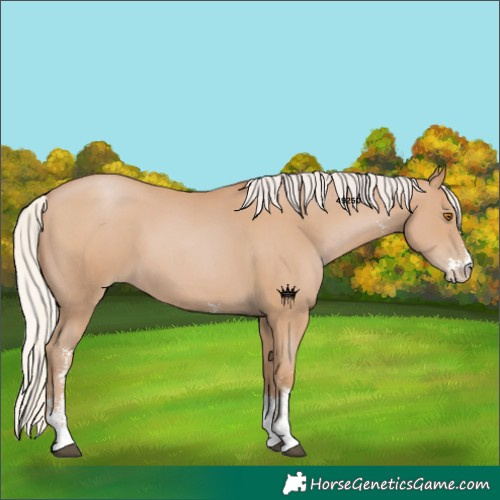 Horse Color:Silver Black Pearl Sabino 