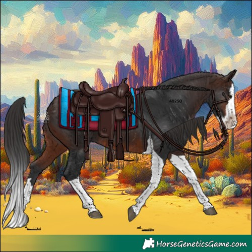 Horse Color:Brown Splash Tobiano 