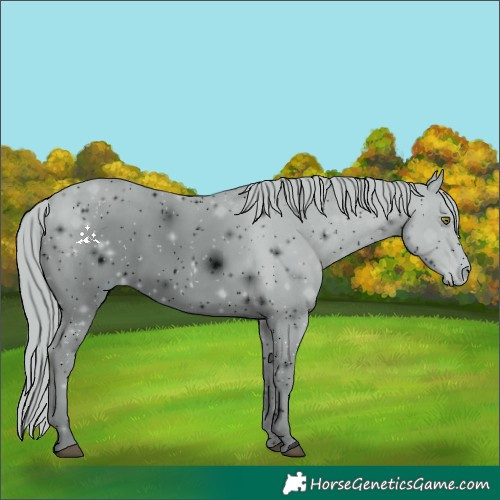 Horse Color:ERROR: UNKNOWN ANOMALY