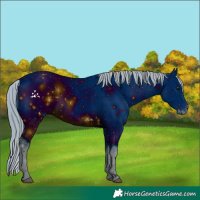 Horse Color:ERROR: UNKNOWN ANOMALY