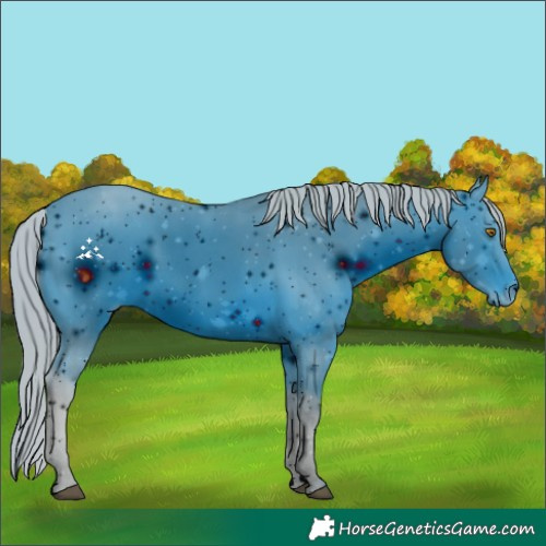 Horse Color:ERROR: UNKNOWN ANOMALY