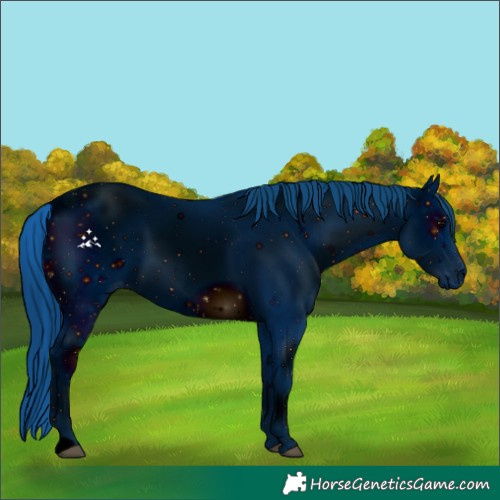 Horse Color:ERROR: UNKNOWN ANOMALY