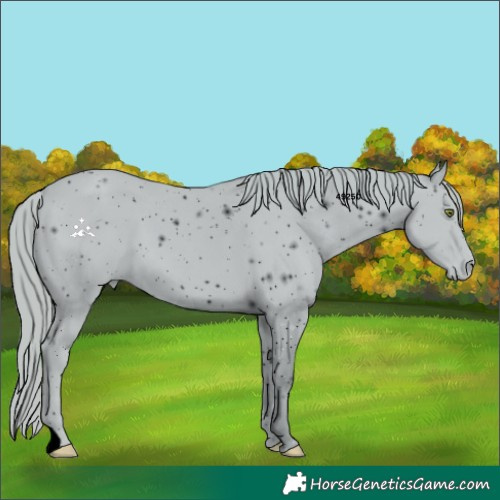Horse Color:ERROR: UNKNOWN ANOMALY