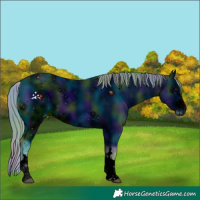Horse Color:ERROR: UNKNOWN ANOMALY