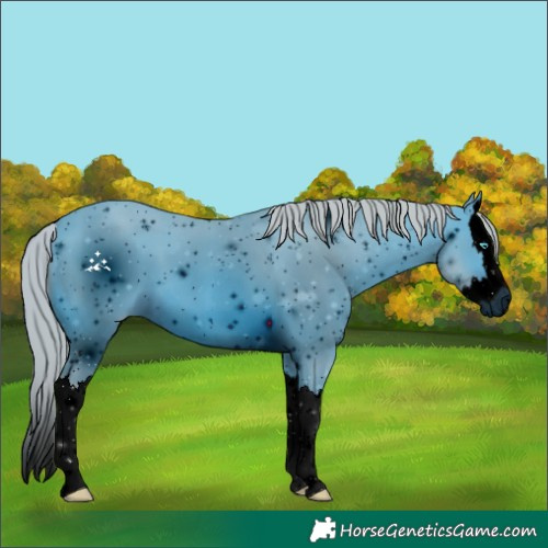 Horse Color:ERROR: UNKNOWN ANOMALY