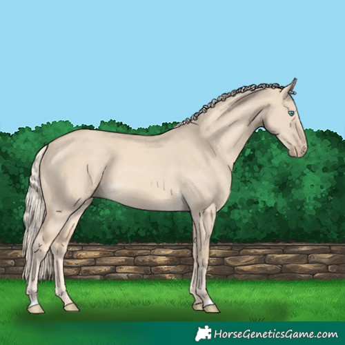 Horse Color:Cremello Dun 