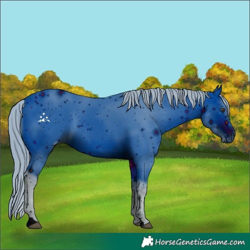 Horse Color:ERROR: UNKNOWN ANOMALY