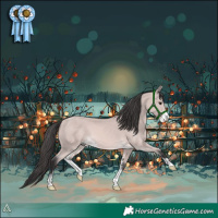 Horse Color:Platinum Buckskin Sabino
