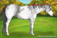 Horse Color:White Spotted Grullo