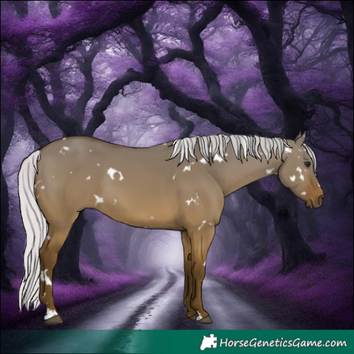 Horse Color:White Spotted Silver Bay Dun 