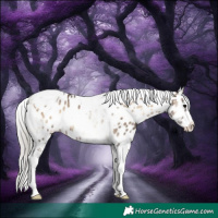 Horse Color:White Spotted Silver Brown Onyx Tobiano Appaloosa 