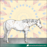 Horse Color:White Spotted Silver Brown Onyx Tobiano Appaloosa 