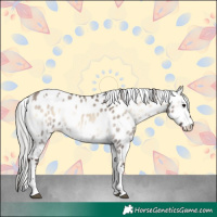 Horse Color:White Spotted Silver Brown Onyx Mushroom Sabino Appaloosa 