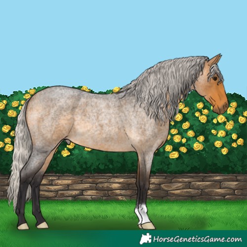 Horse Color:Silver Buckskin Roan 