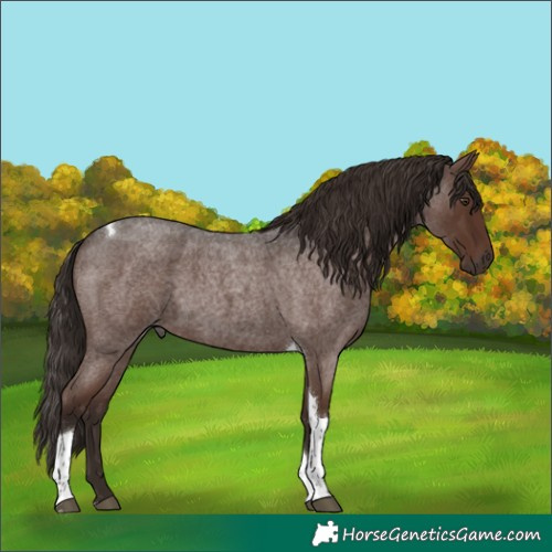 Horse Color:Liver Red Roan Tobiano 