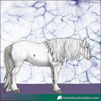 Horse Color:White Spotted Liver Chestnut Mushroom Appaloosa 