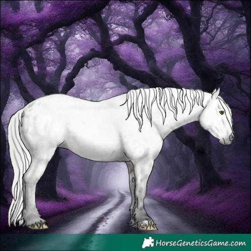 Horse Color:Gray White Spotted Silver Brown Dun Mushroom Appaloosa Rabicano 