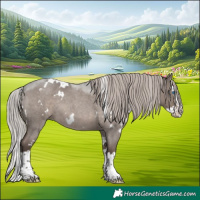 Horse Color:White Spotted Silver Grullo Roan Mushroom Splash 