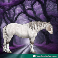 Horse Color:White Spotted Silver Grullo Roan Mushroom Splash 