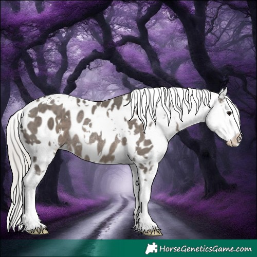 Horse Color:White Spotted Silver Black Near Leopard Rabicano 